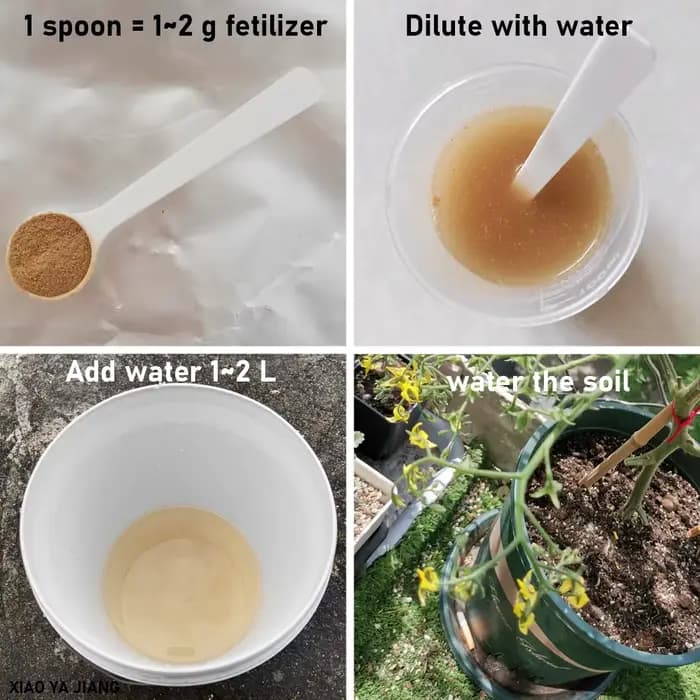 50g de Bacillus Licheniformis 100 Milliards d'Organismes Microbiens Engrais Organique pour l'Agriculture Biologique Améliore la Structure du Sol et la Vitalité des Plantes