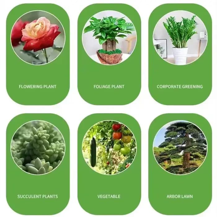 Engrais soluble dans l'eau de jardin pour plantes