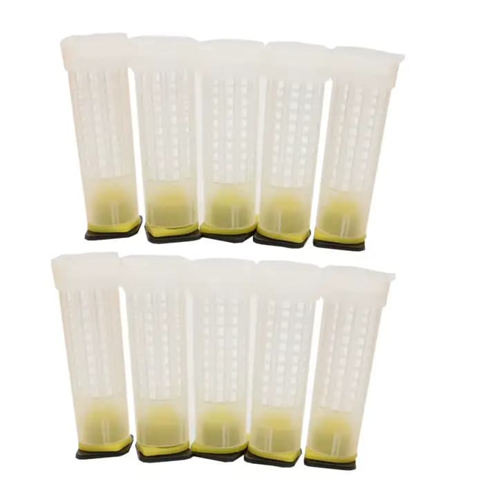 100 pièces en gros apiculture reine abeille système d'élevage Cages de Protection outils en plastiqu