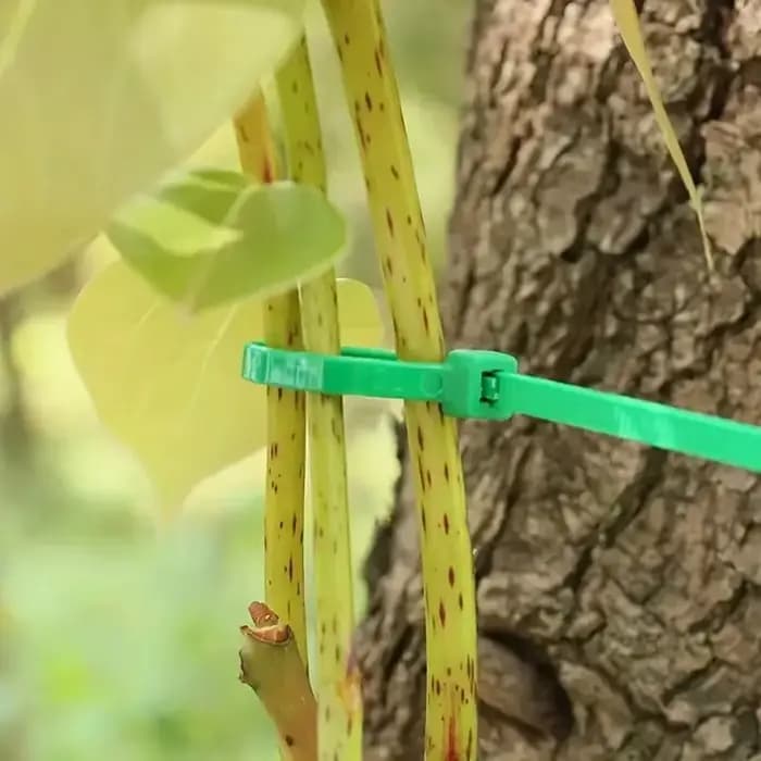 Cerclage de jardinage, attaches à fermeture éclair