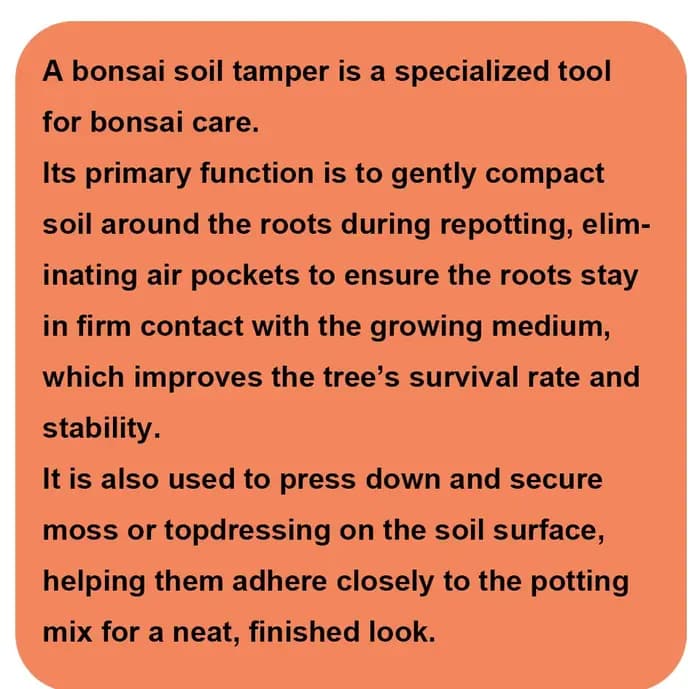Outils pour Bonsaï - Pilon à Terre
