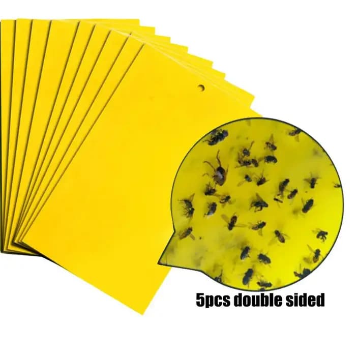 Piège collant double face pour insectes