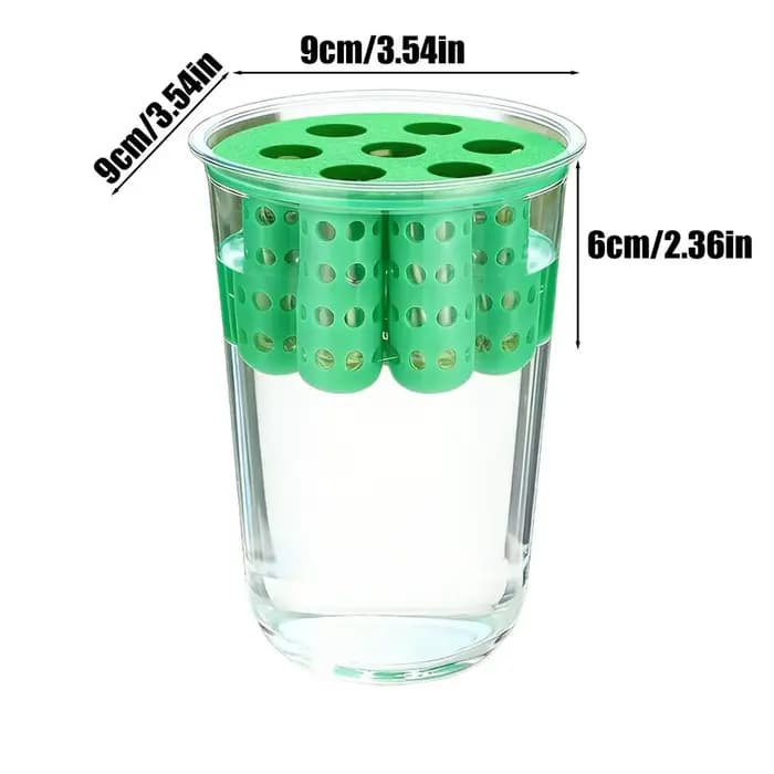 Pot de culture pour la repousse des oignons verts, Kit de germination hydroponique transparent pour