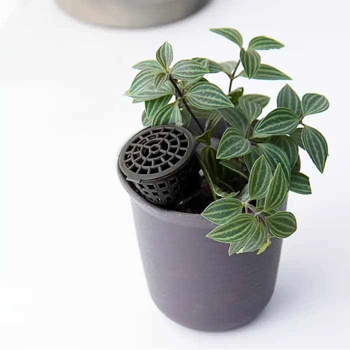 10 paniers à engrais pour plantes avec couvercle
