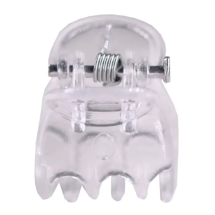 20-1000 pièces transparent 6 griffes orchidée Clips en plastique papillon fleurs Support clair fixat