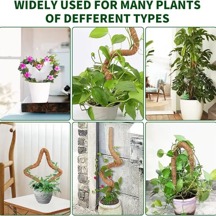 Support de grimpement pliable pour plantes, en fibre de coco, déformable, avec base de fixation, typ