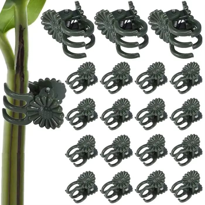 Pinces à Plantes de Vigne, Support pour Greffe de Tomate, Papillon, Orchidée, Fleurs, Accessoires de