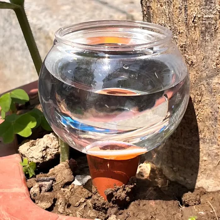 Système d'irrigation goutte-à-goutte automatique 3 pièces