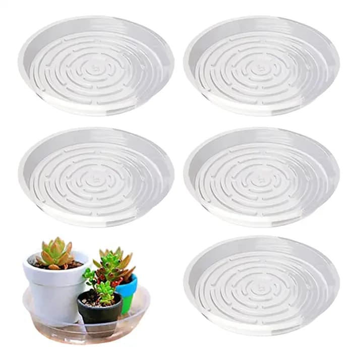 Plateau pour pot de plantes transparent 6/8/10 pouces