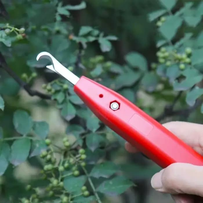 Ciseaux de cueillette agricoles - Outil spécial pour la récolte de légumes, outils de récolte effica