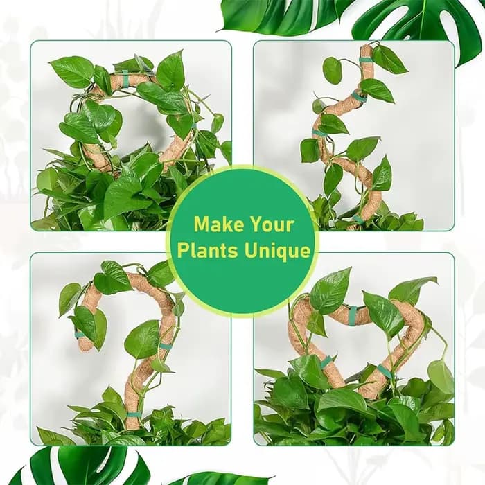 Plantes pliables Support d'escalade plante mousse coir pôle bas Support d'escalade déformé cocotier