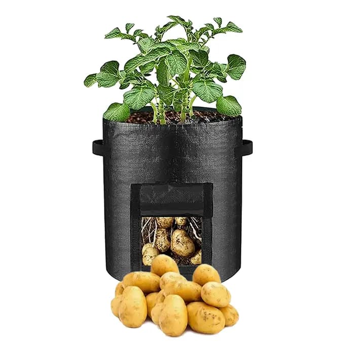 Sac de culture de pommes de terre avec fenêtre de visualisation, sac de jardinière PE Durable noir d
