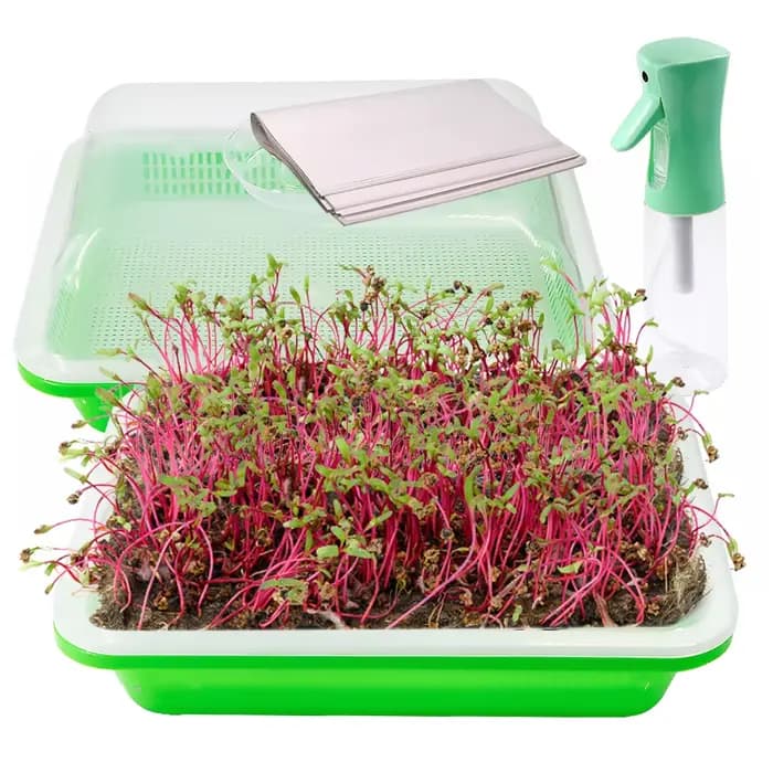 Boîte de Germination, plateaux de semis, Kit avec couvercle Transparent, démarreur de semis pour pép