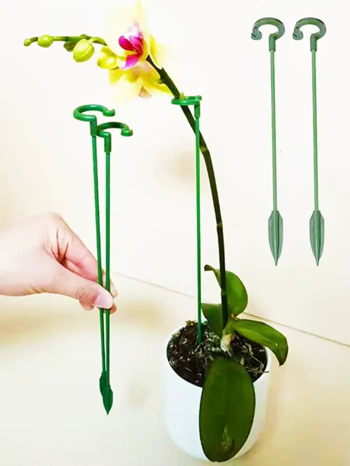 Supports de plantes en plastique, 2/5/10 pièces, Support de fleurs, outil de fixation de Protection