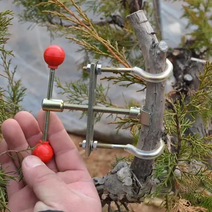 Kit d'outils de cintreuse de branche de bonsaï