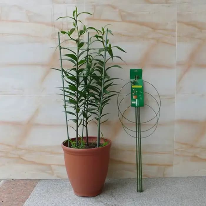 Vigne grimpante T1 pour plantes en pot, cadre de support en plastique enduit d'acier, treillis décor