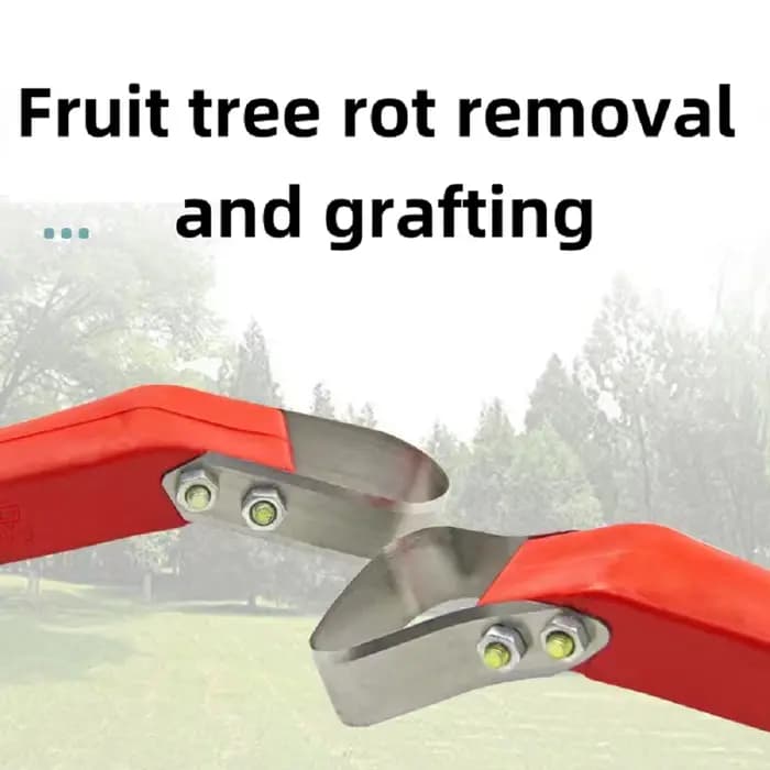 Couteau à écorce pour grattage d'arbres fruitiers