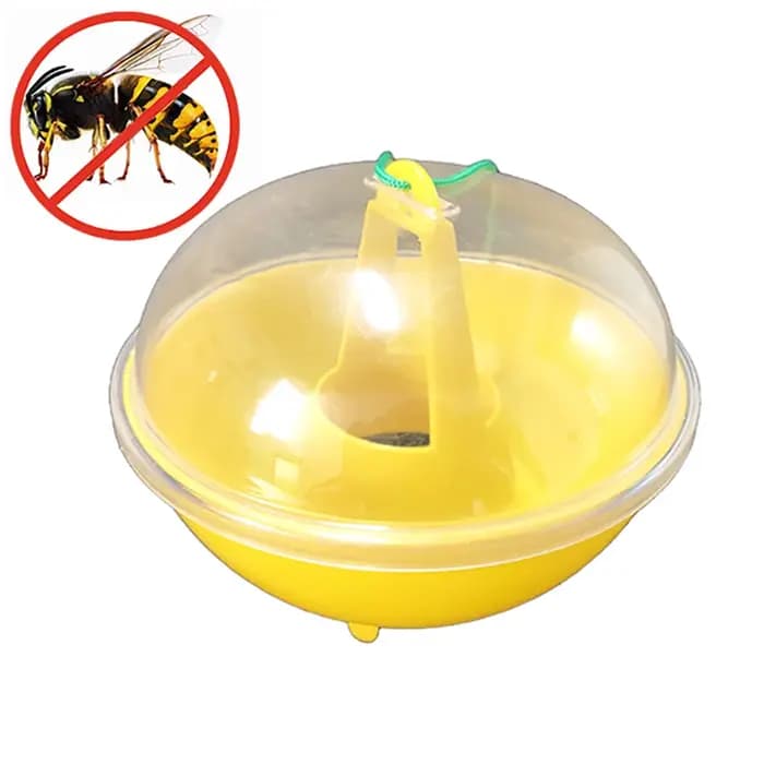 Piège à abeilles en forme de dôme en plastique suspendu pour l'extérieur