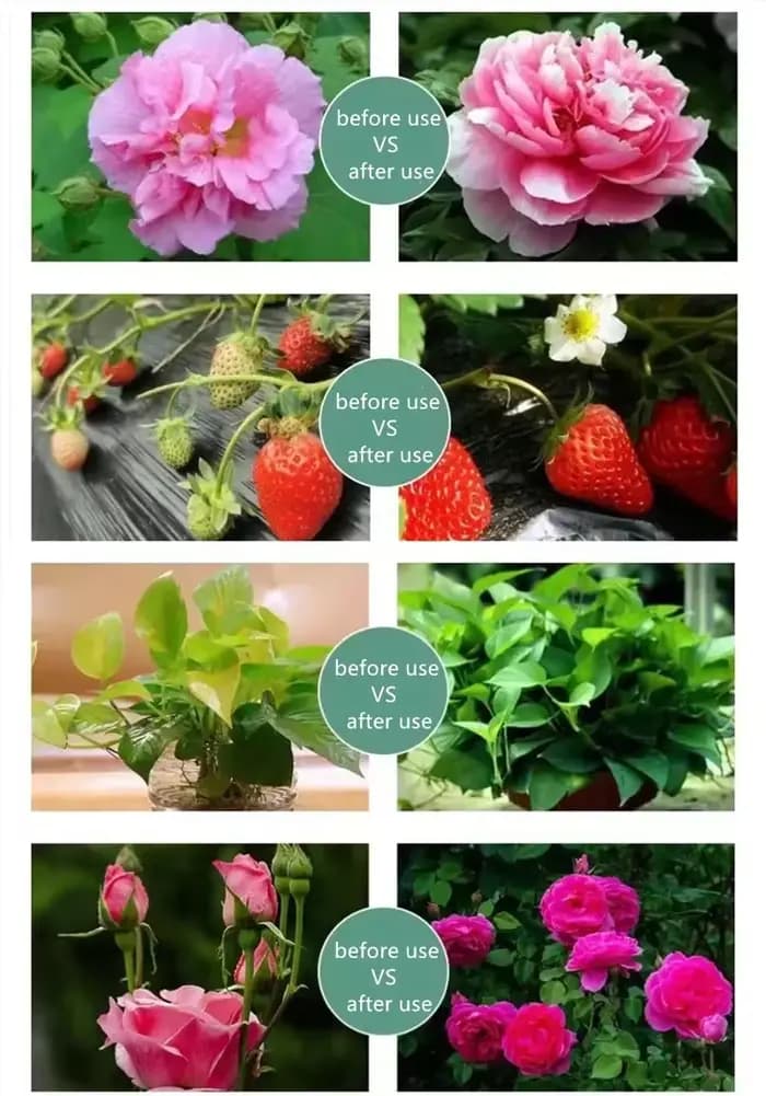 Engrais soluble dans l'eau de jardin pour plantes