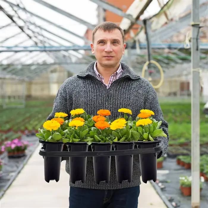 Pots de pépinière en plastique pour plantes profondes AA81-30Pcs, Pots d'arbre hauts et épais et stables, Pots de conteneur de plantes de semis hauts réutilisables, profonds