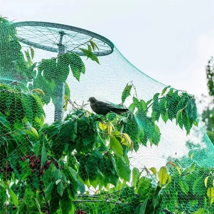 Filet de jardin protège les plantes avec des filets de protection