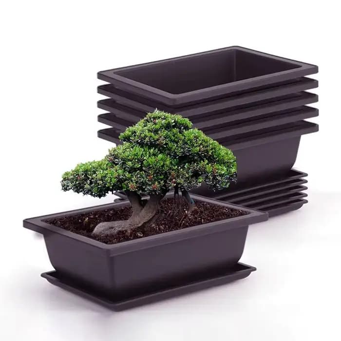 Pots de fleurs rectangulaires Imitation argile violette bonsaï