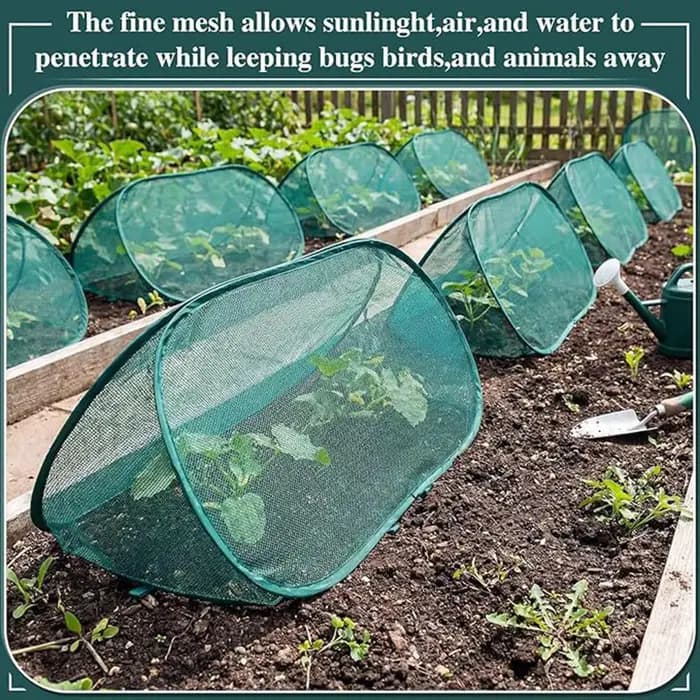 Filet de protection pop-up pour plantes de jardin avec 6 piquets de sol