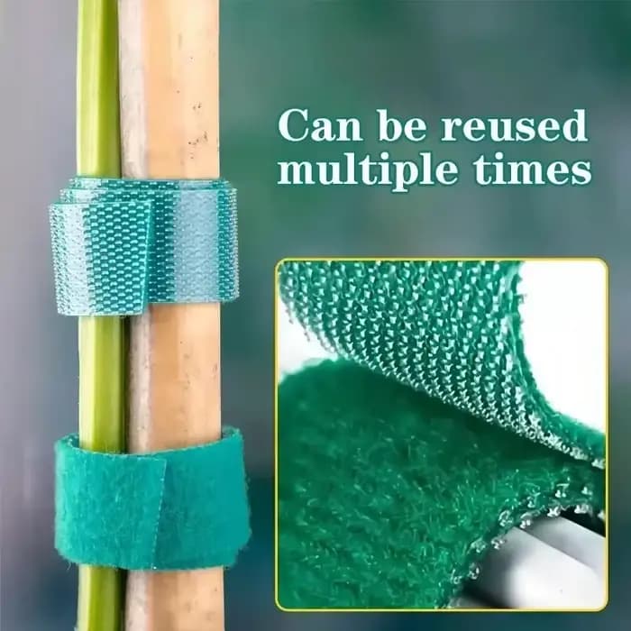 Bandes de ruban de fixation réutilisables pour plantes, auto-adhésif, câble en nylon vert, crochet r