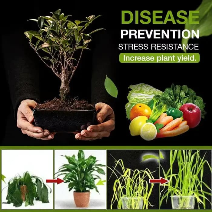 Stimulant universel de croissance des plantes - Activateur de sol organique pour l'enracinement des fleurs