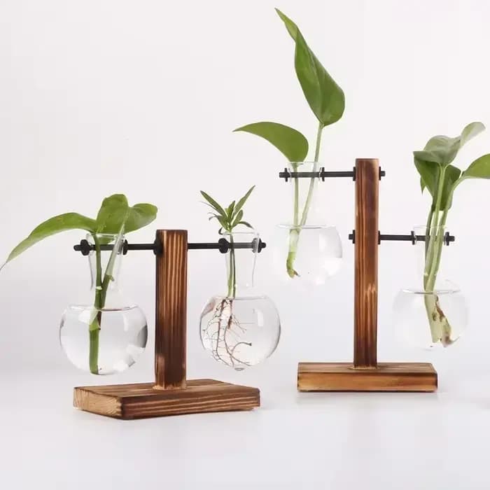 Plante hydroponique Terrarium Vasevase décoration maison bouteille en verre