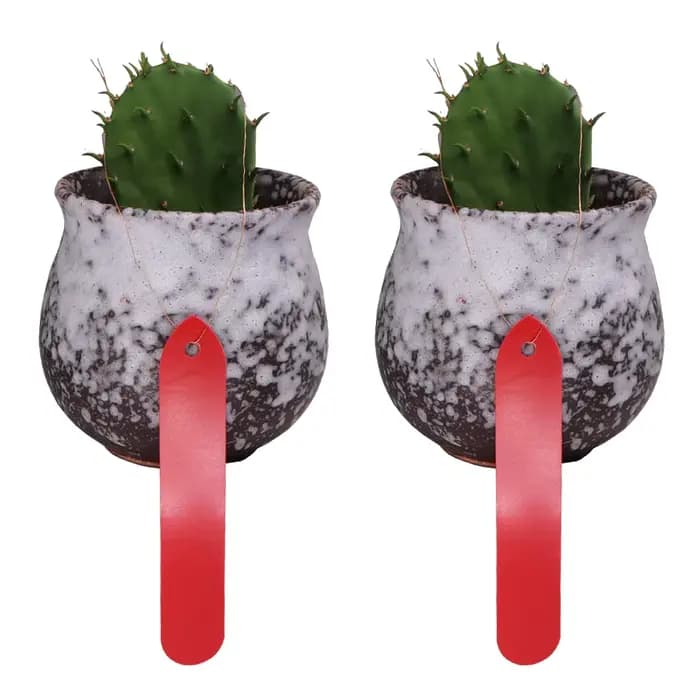 Étiquettes de plantes avec trou de 4mm, 50 pièces, 1.8x10cm, étiquettes de jardin, étiquettes de pép
