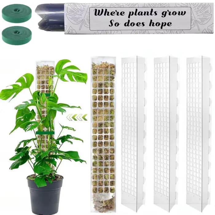 Support de plantes en plastique, poteau de mousse, plantes grimpantes d'intérieur, Tutors garantis,