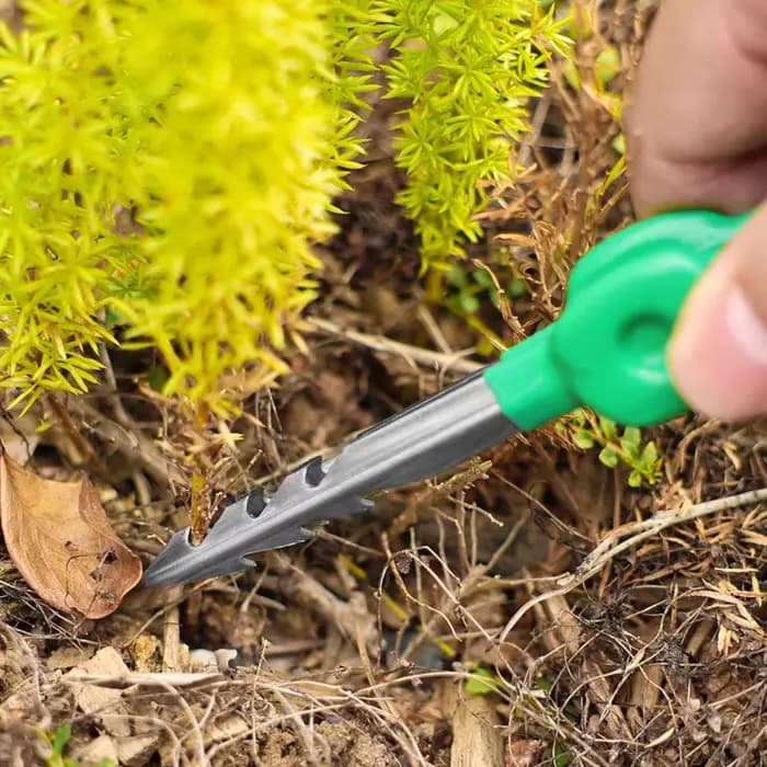 Pince de jardinage légère pour désherbage et repiquage de plantes succulentes en extérieur
