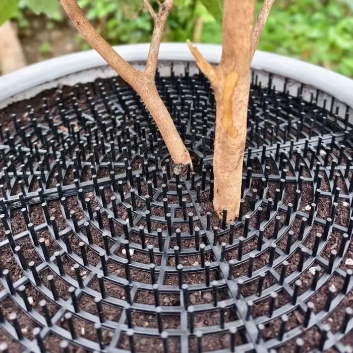 Grille de protection respirante en maille pour pot de plantes