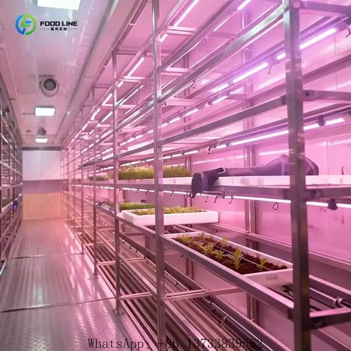 Serre de culture de champignons personnalisée de 20 à 40 pieds avec système de climatisation et étagères
