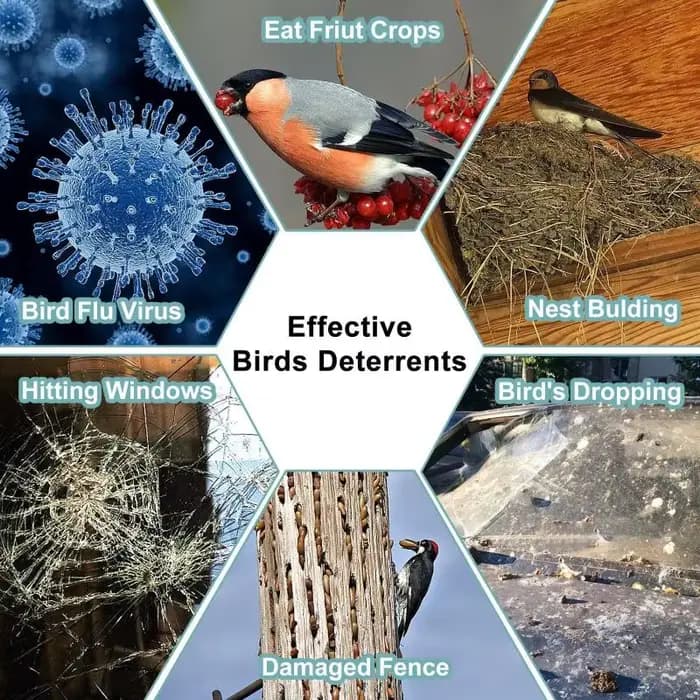 Répulsif d'Oiseaux Imperméable : Simulation Hibou Répulsif Anti-Nuisibles Artificiel avec Réflecteur