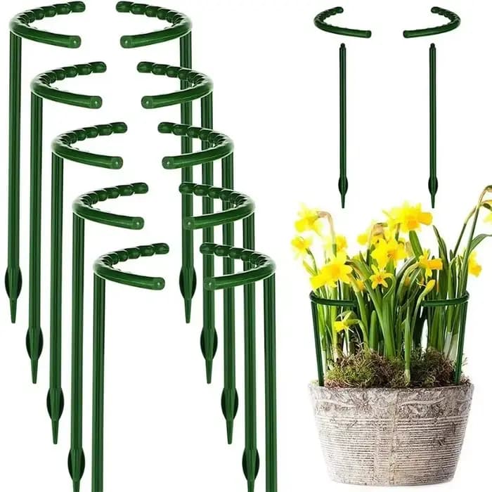 Anneau de Support pour plantes en plastique, Support de jardin pour verger, Support de Pile pour arr