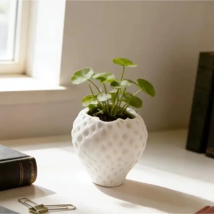 Pot de fleurs amusant imprimé en 3D en forme de fraise