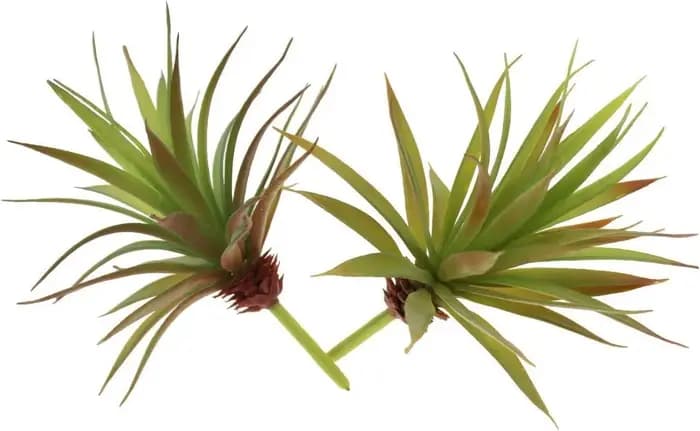 2 Pièces de Plantes Artificielles Succulentes Yucca Vera