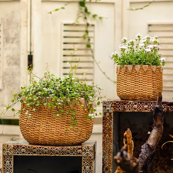 Pot de fleur en rotin tissé rustique, jardinière décorative de bureau en ciment, conteneur de plantes de jardin de balcon, conception de Faux Drainage