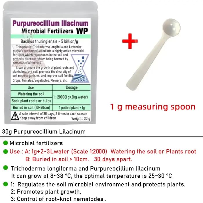 Champignon Biocontrol avancé Purpureocillium lilasine