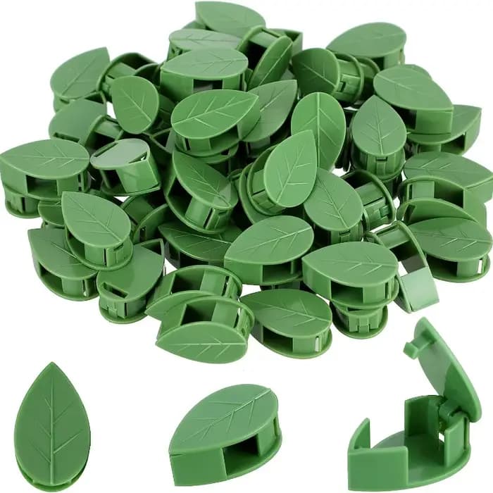Clips de fixation murale pour plantes grimpantes