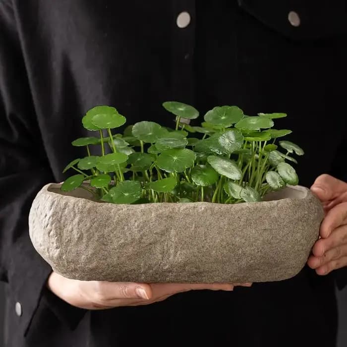 Pots hydroponiques, plantes, pots en céramique rectangulaires de luxe pour l'intérieur, culture hydroponique, pots imitation pierre, décoration intérieure