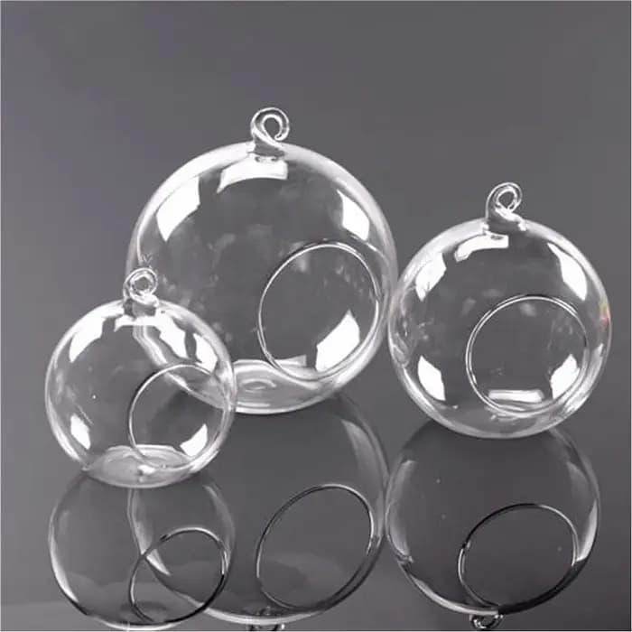 Boule de Terrarium en Verre Transparent en Forme de Globe