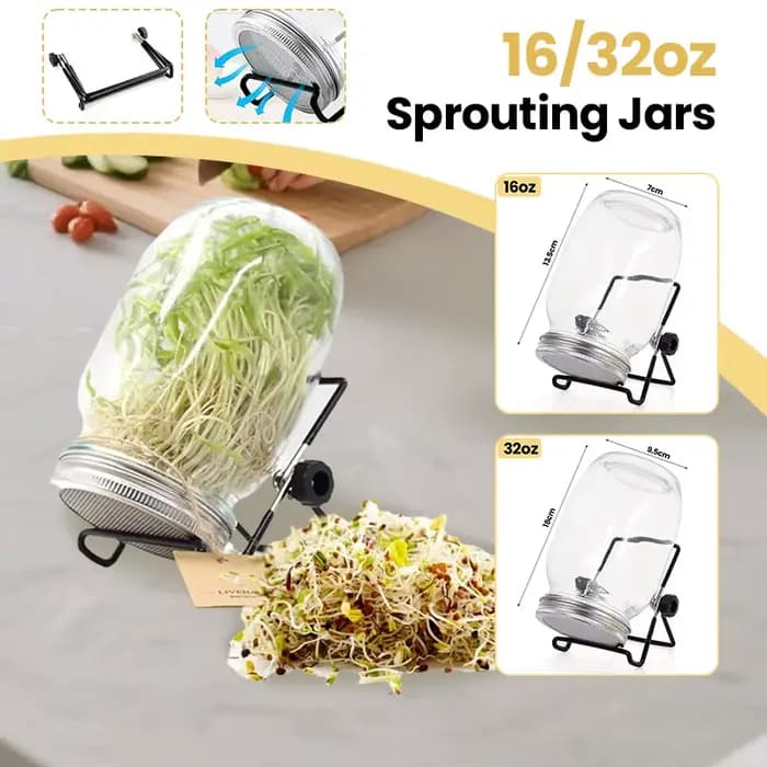 Kit de germination de pot Mason à large bouche en verre organique