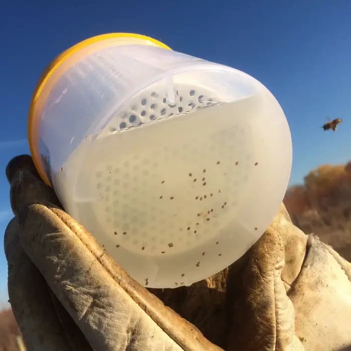 Varroa-Bouteille de contrôle de la surveillance des acariens