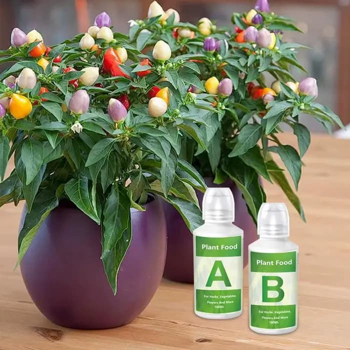 Solution nutritive végétale hydroponique aéroponique