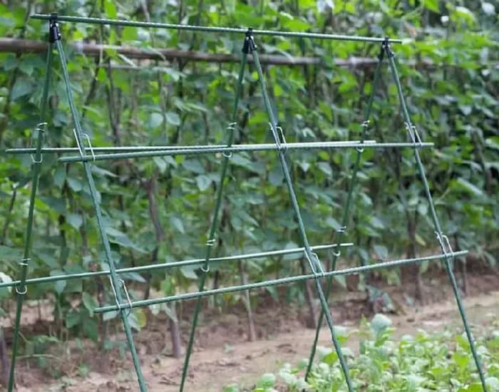 Treillis de jardin pour plantes, support de fleurs, serre, clôture de plantes de jardin, vigne grimp