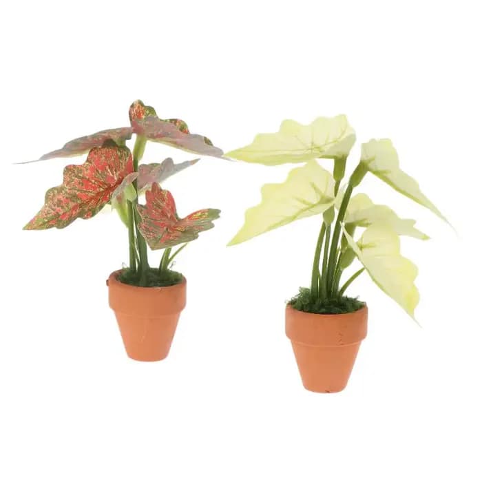 Miniature Plante en Pot Taro Vert 'Turtle Back' pour Maison de Poupées, Modèle de Plante Verte Miniature, Décoration de Jardin et Paysage pour Maison de Poupées, Jouet