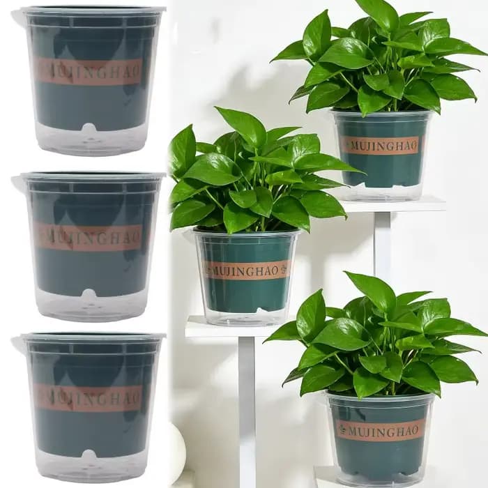 Pots de plantes verts transparents avec trou de drainage